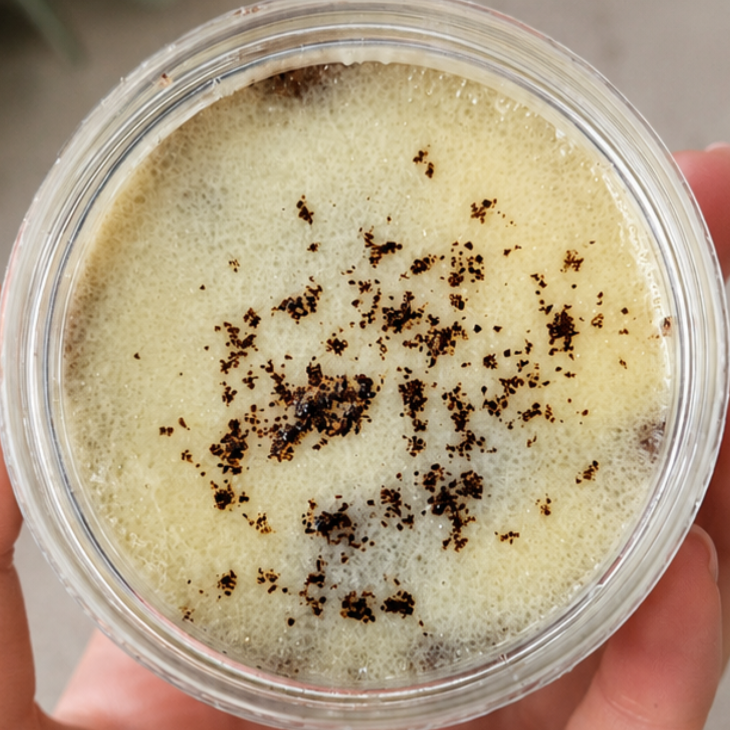 Caramel Latte Swirl Emulsified Body Scrub 200g | Coffee, Vanilla & Caramel | Aroma & Glow