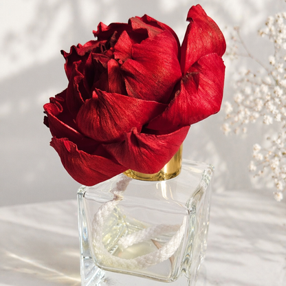 Red Peony Reed Diffuser - Luxury Sola Wood Flower Diffuser (100ml)